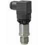 QBE2003-P1 - Sonda de presión líquidos/gases 0…100 kPa 0..1 Bar, señal 0..10 Vcc, Rosca externa G½ " Rango -15…125 ºC IP65.