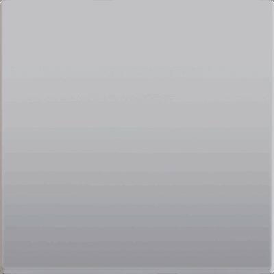 830001706 – ZS55. Tecla para mecanismo 55×55 mm – Plata.
