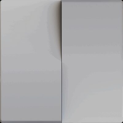 830001906 – ZS55. Tecla doble para mecanismo 55×55 mm – Plata.
