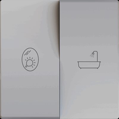 830004406 – ZS55. Tecla doble para mecanismo 55×55 mm – Plata – Personalizado. Mínimo 100 unidades por diseño.