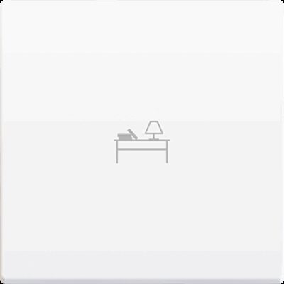 830004209 – ZS55. Tecla para mecanismo 55×55 mm – Blanco mate – Personalizada. Mínimo 100 unidades por diseño.
