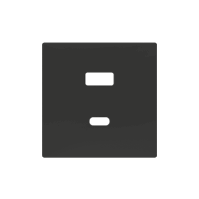 ZS55C2UCAA – ZS55. Tapa para cargador USB doble C+A 55×55 mm – Antracita.