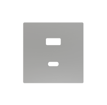 ZS55C2UCAS - ZS55. Tapa para cargador USB doble C+A 55x55 mm - Plata.