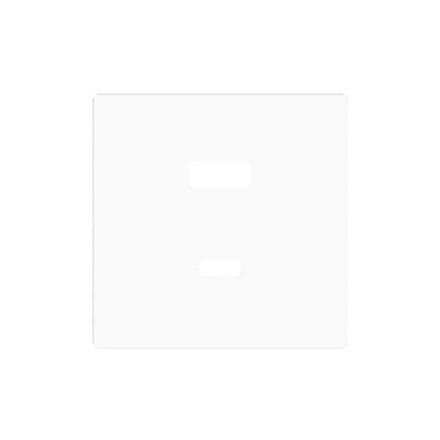 ZS55C2UCAMW – ZS55. Tapa para cargador USB doble C+A 55×55 mm – Blanco mate.