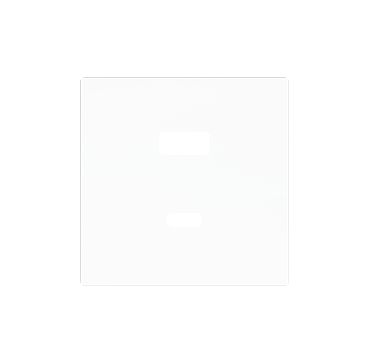 ZS55C2UCAMW - ZS55. Tapa para cargador USB doble C+A 55x55 mm - Blanco mate.