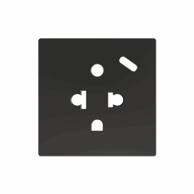 ZS55CEUA1USA – ZS55. Tapa para base de enchufe euroamericano con USB C 55×55 mm – Antracita.