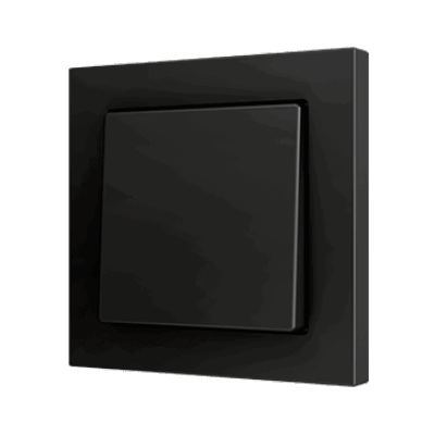 ZS551PB2A – ZS55. Pulsador Soft simple para 2 entradas binarias 55×55 mm – Antracita.
