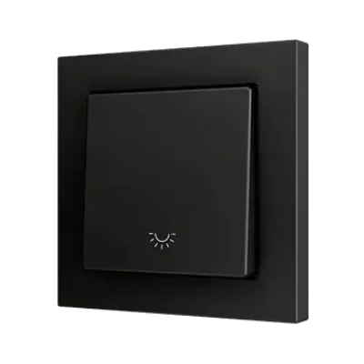 ZS551PB1LA – ZS55. Pulsador Soft simple para 1 entrada binaria 55×55 mm – Icono de luz – Antracita.