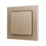 ZS551PB1KC - ZS55. Pulsador Soft simple para 1 entrada binaria 55x55 mm – Icono de llave - Champagne.
