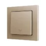 ZS551PB1LC - ZS55. Pulsador Soft simple para 1 entrada binaria 55x55 mm – Icono de luz - Champagne.