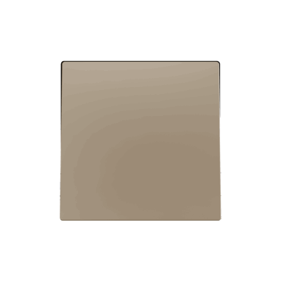 830001704 – ZS55. Tecla para mecanismo 55×55 mm – Champagne.