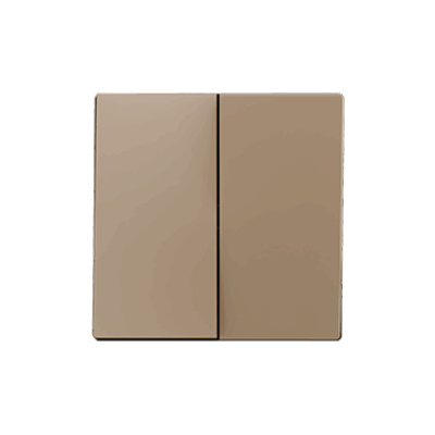 830001904 – ZS55. Tecla doble para mecanismo 55×55 mm – Champagne.