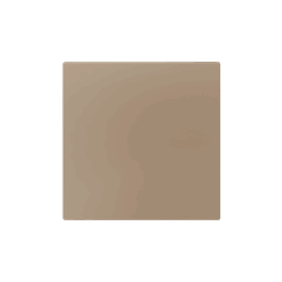 830002804 – ZS55. Tapa ciega 55×55 mm – Champagne. Necesita la placa metálica (8300035) que no está incluida.