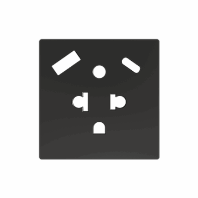ZS55CEUA2USA – ZS55. Tapa para base de enchufe euroamericano con USB C y A 55×55 mm – Antracita.