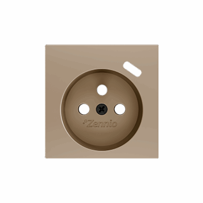 ZS55CF1USC – ZS55. Tapa para base de enchufe Francés con USB C 55×55 mm – Champagne.