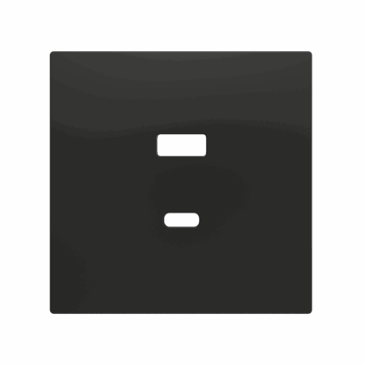 ZS70C2UCAA – ZS70. Tapa para cargador USB doble C+A 70×70 mm – Antracita.