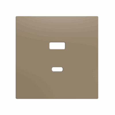 ZS70C2UCAC – ZS70. Tapa para cargador USB doble C+A 70×70 mm – Champagne.