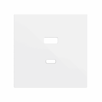 ZS70C2UCAMW – ZS70. Tapa para cargador USB doble C+A 70×70 mm – Blanco mate.