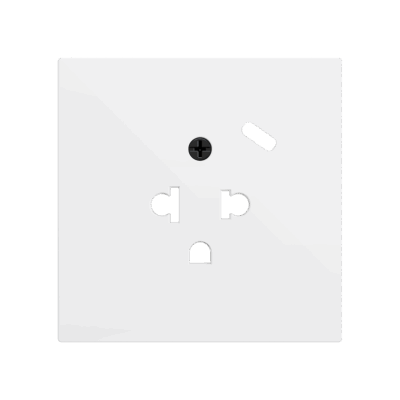 ZS70CEUA1USMW – ZS70. Tapa para base de enchufe euroamericano con USB C 70X70 mm – Blanco mate.