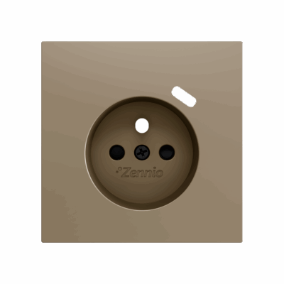 ZS70CF1USC – ZS70. Tapa para base de enchufe Francés con USB C 70×70 mm – Champagne.