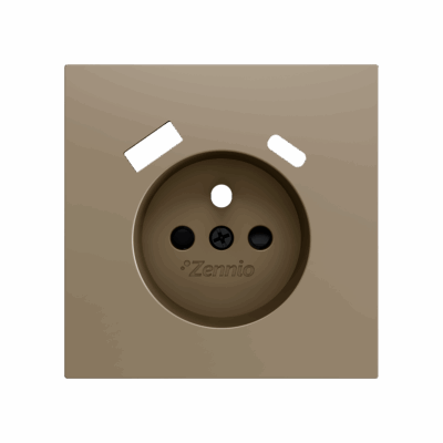 ZS70CF2USC – ZS70. Tapa para base de enchufe Francés con USB C y A 70×70 mm – Champagne.