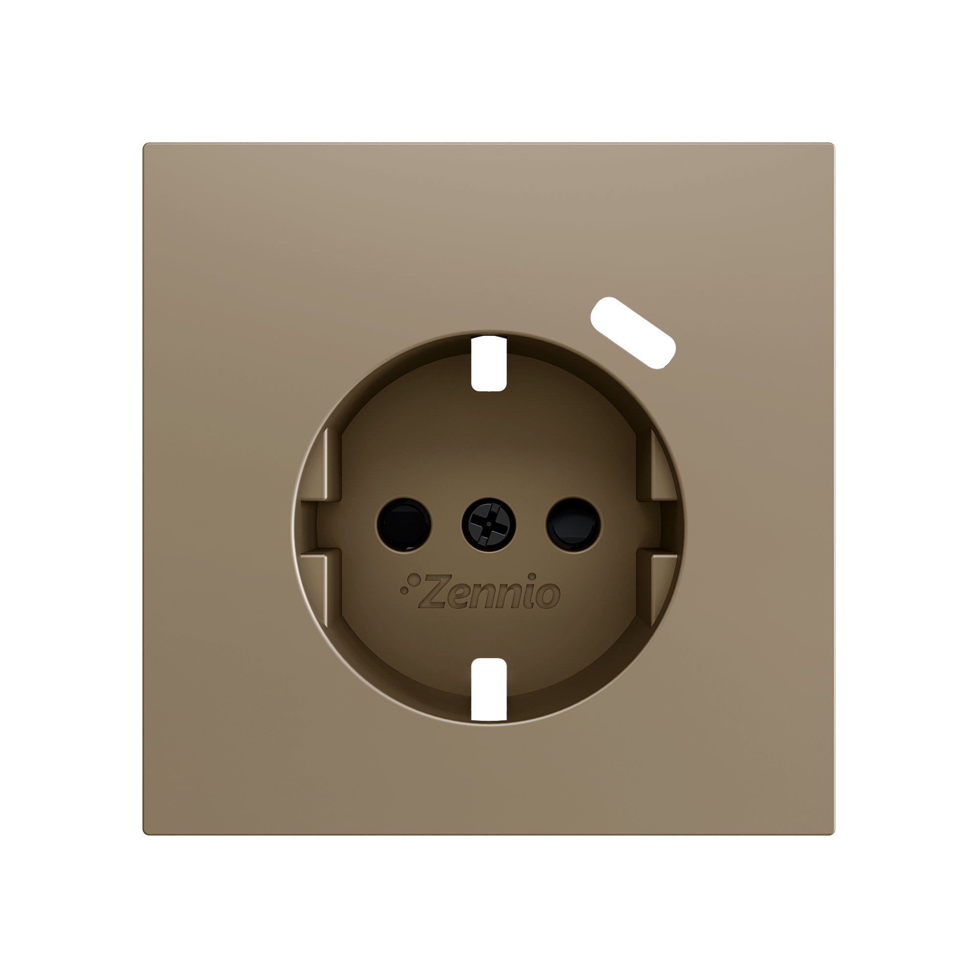 ZS70CSC1USC - ZS70. Tapa para base de enchufe Schuko con USB C 70x70 mm - Champagne.